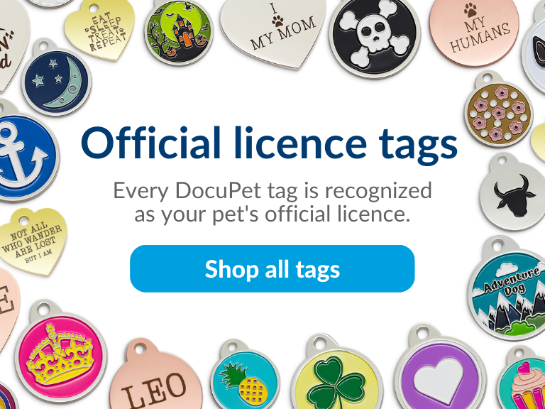 Designer dog outlet tags